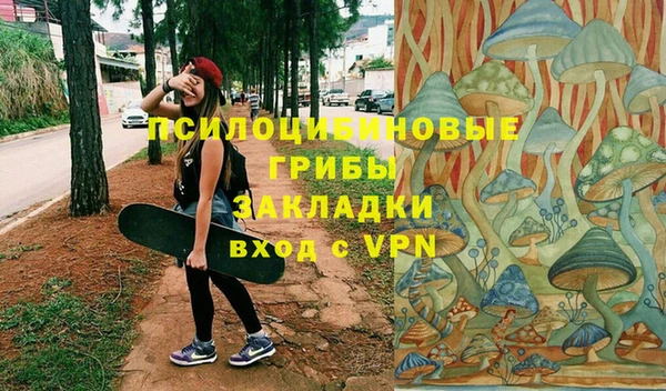 героин Алексин