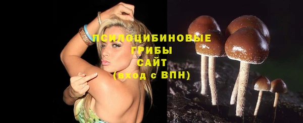 кокс Алзамай