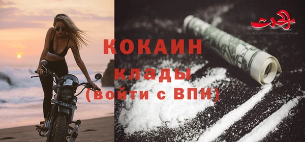 прущие грибы Абдулино