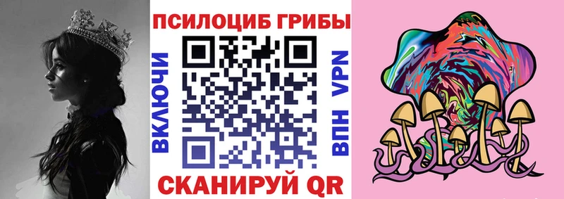Галлюциногенные грибы прущие грибы  Заводоуковск 